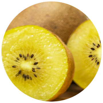 Gold kiwifruit